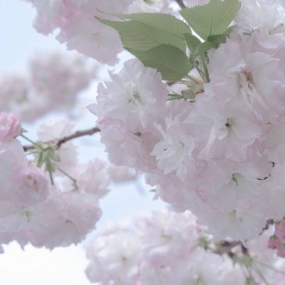 Furry兽圈美学分享兽圈群